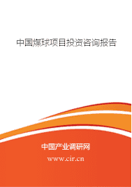中国煤球项目投资咨询报告 行业前景、市场调研与投资策略深度解析