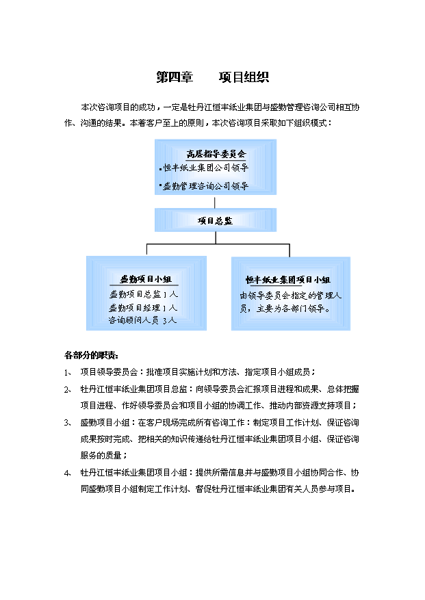 恒丰纸业集团VIS咨询项目可行性投资申报分析