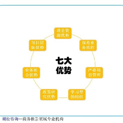 拓金项目咨询资金报告——企业投资项目咨询服务规划书
