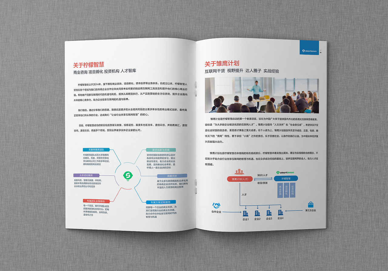 雏鹰展翅 探索未知与投资精准之路 —— 画册设计与企业投资项目咨询服务印象